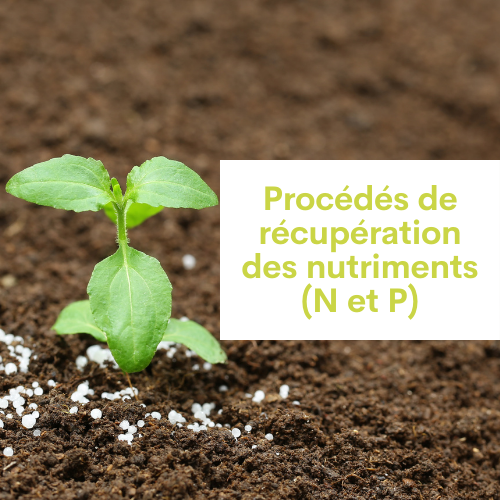 Les procédés de récupération des nutriments (N et P)