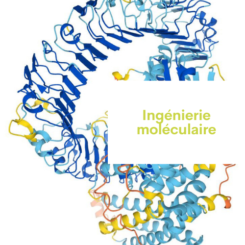 Ingénierie moléculaire