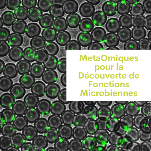 MetaOmiques pour la Découverte de Fonctions Microbiennes