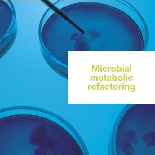 Réactualisation du métabolisme microbien