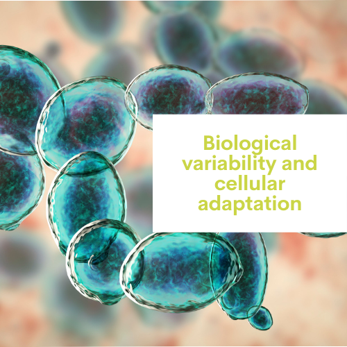 Variabilité biologique et adaptation cellulaire