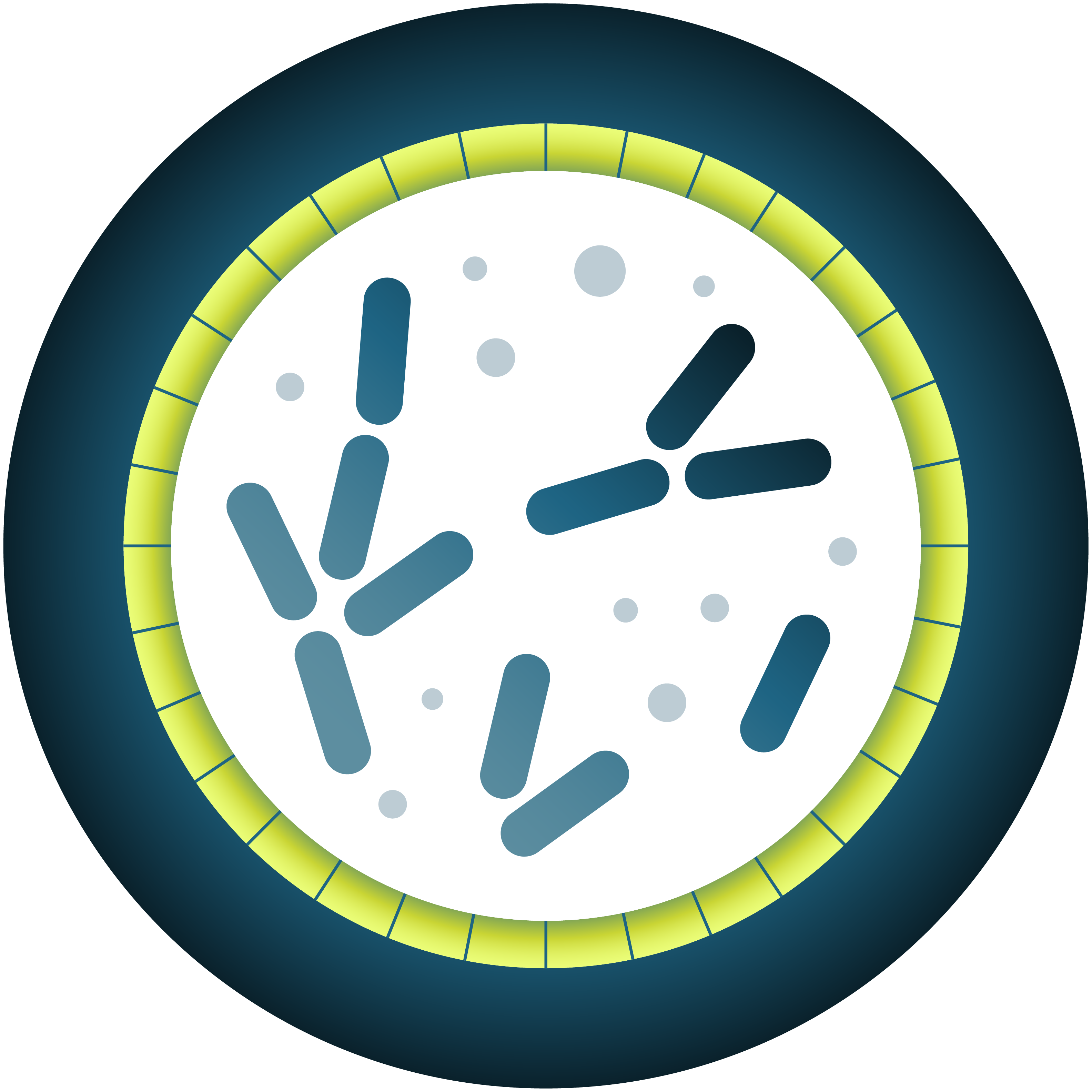 Pole Physiologie et ingénierie du métabolisme microbien