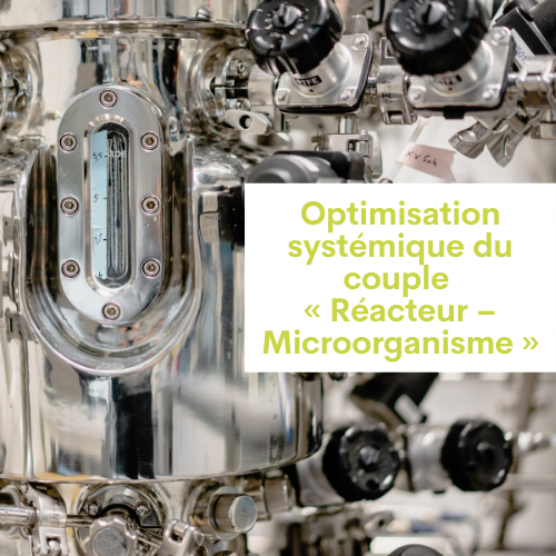 Optimisation systémique du couple « Réacteur – Microorganisme »