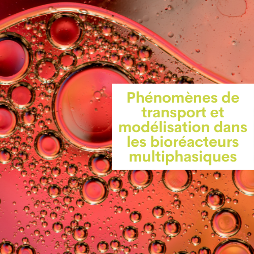 Phénomènes de transport et modélisation dans les bioréacteurs multiphasiques