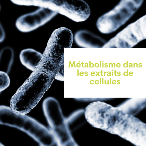 Métabolisme dans les extraits de cellules