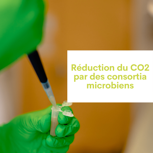 thématique réduction du CO2 par des consortia microbiens