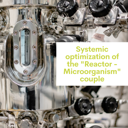 Optimisation systémique du couple « Réacteur – Microorganisme »