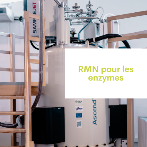 RMN pour les enzymes