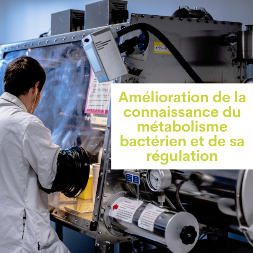 Amélioration de la connaissance du métabolisme bactérien et de sa régulation