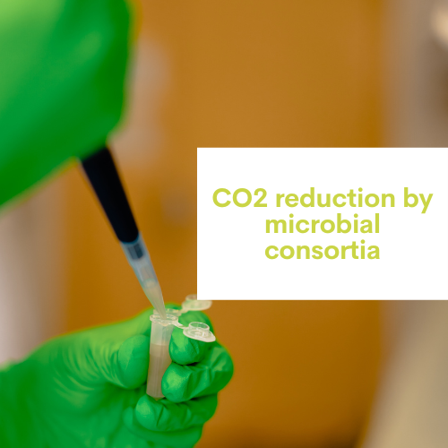 thématique réduction du CO2 par des consortia microbiens