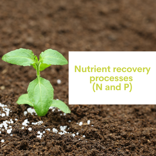 Les procédés de récupération des nutriments (N et P)