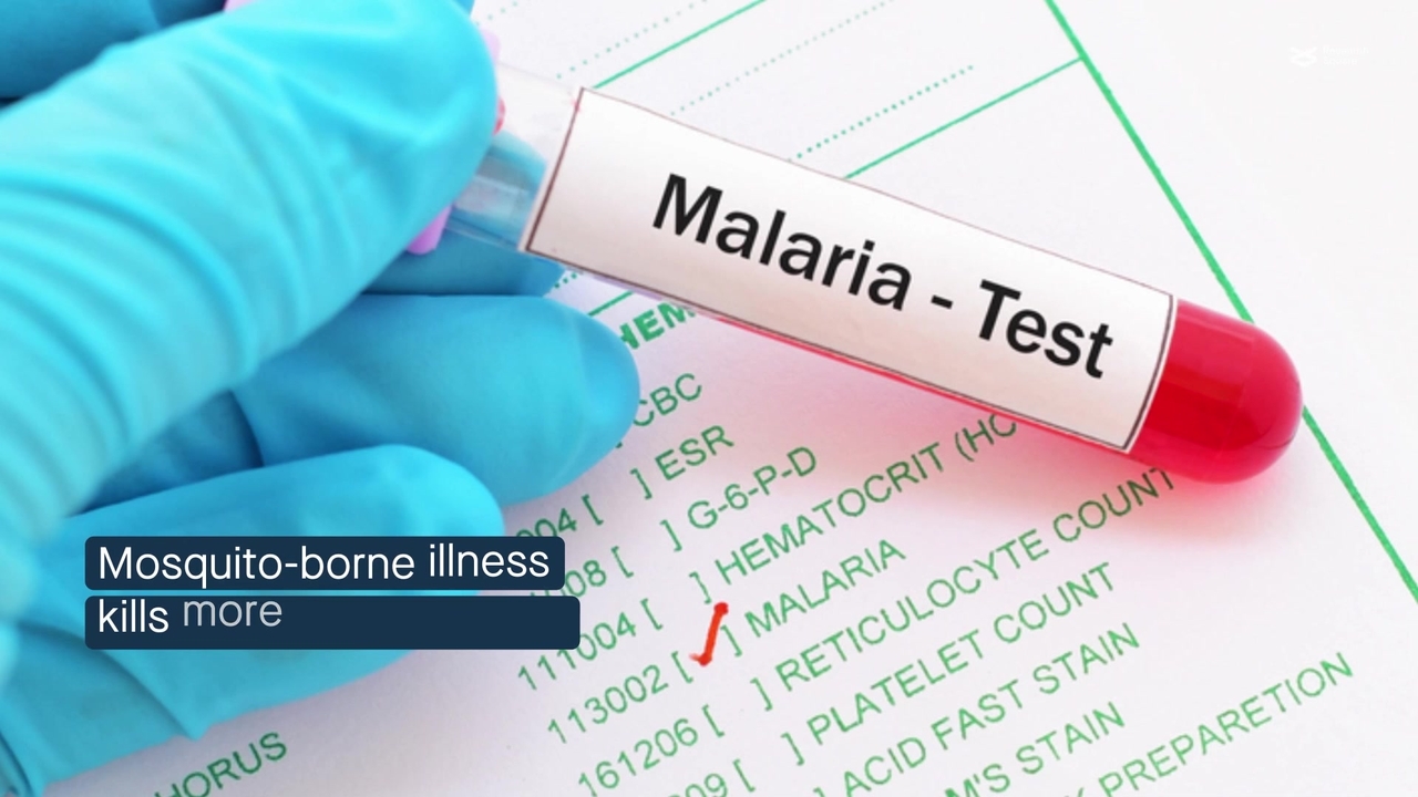 malaria mosquito metatoul