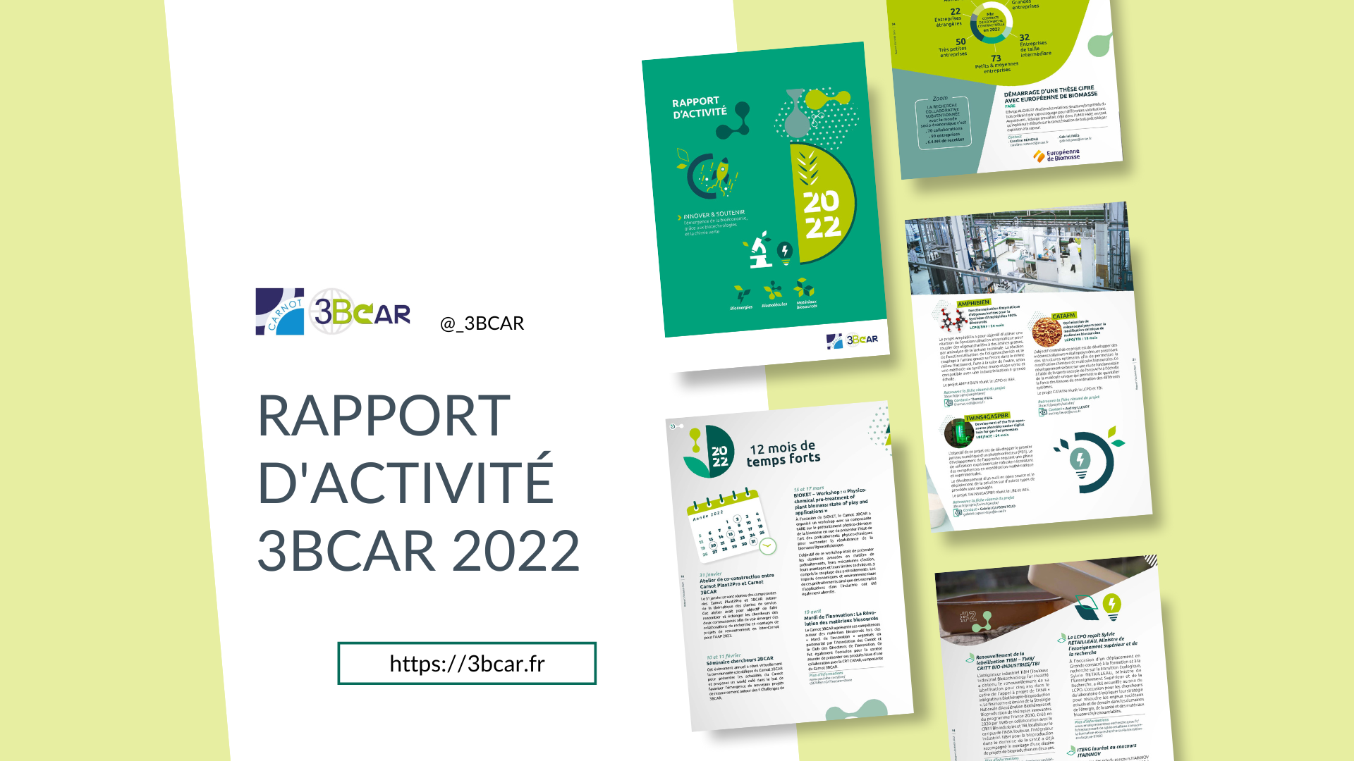 Rapport activité 3bcar
