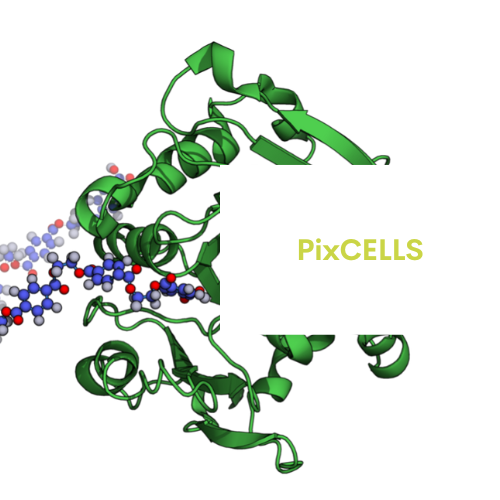 PixCELLS