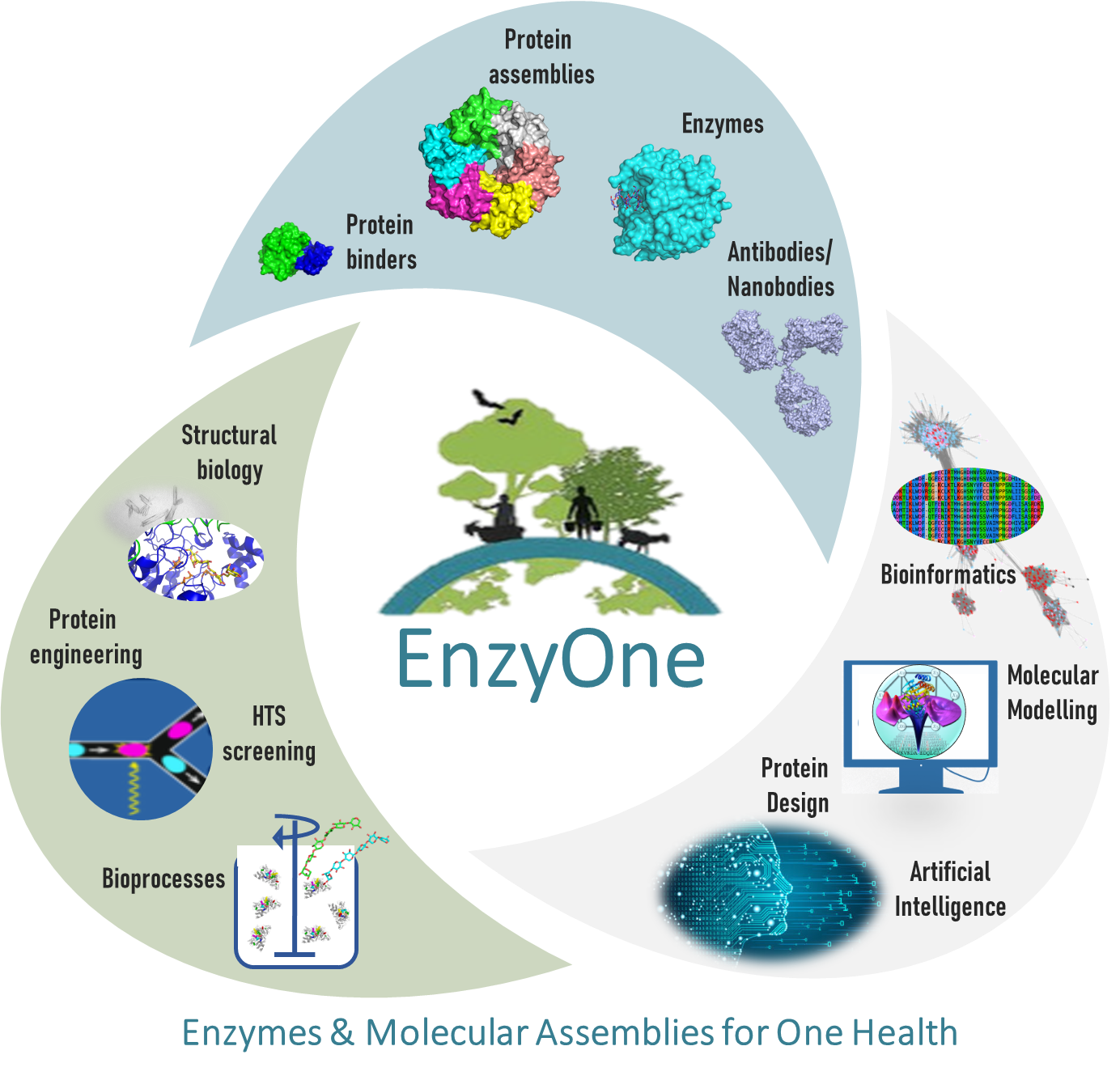 enzyone