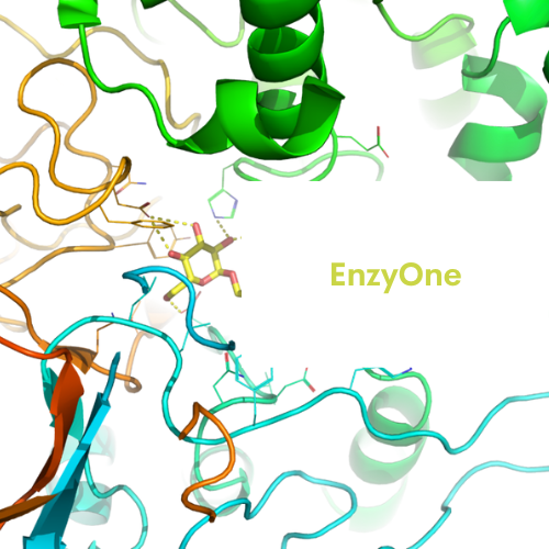 EnzyOne