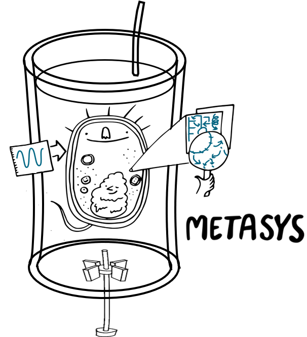 Metasys