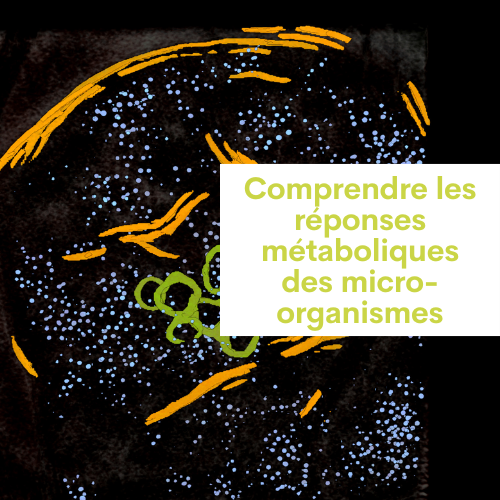 Metasys 1